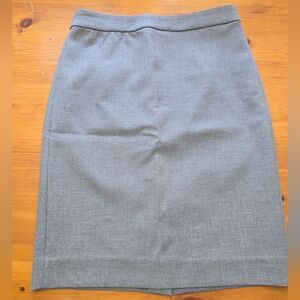 Elegant Gray Women's Skirt